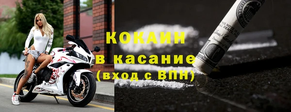 стаф Дмитриев