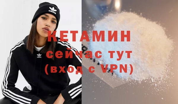 стаф Дмитриев