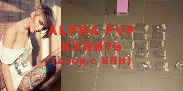 стаф Дмитриев