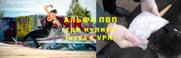 стаф Дмитриев