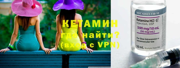 индика Дмитровск