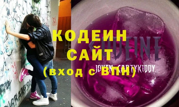 индика Дмитровск