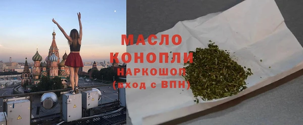индика Дмитровск