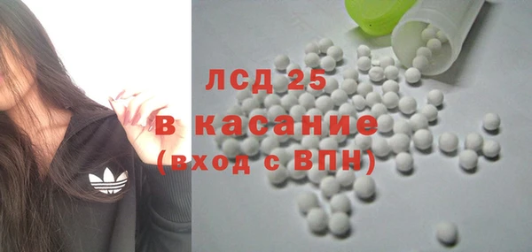 стаф Дмитриев