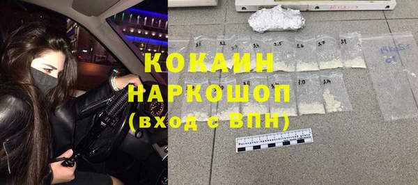 индика Дмитровск
