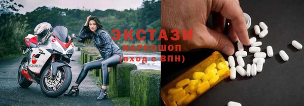 индика Дмитровск